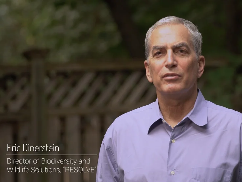 Eric Dinerstein - RESOLVE NGO