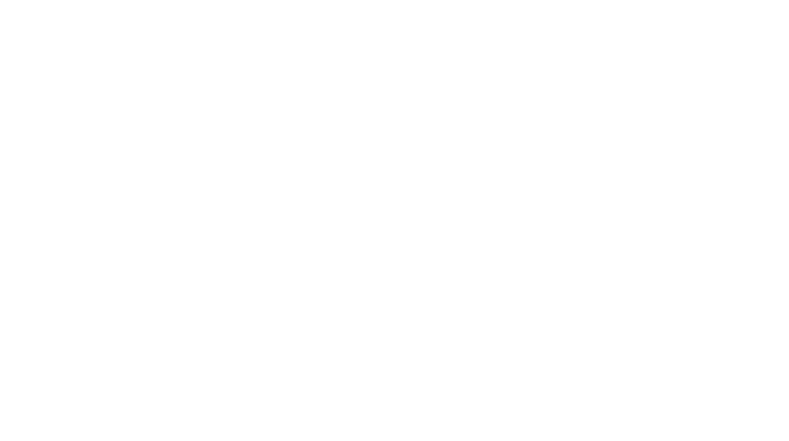 Ambarella