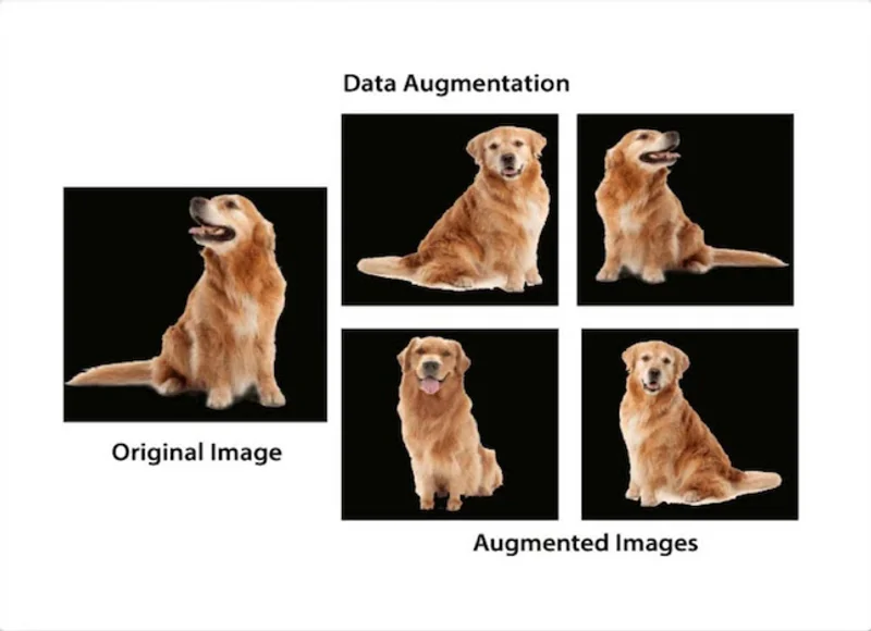 Data augmentation techniques for AI training