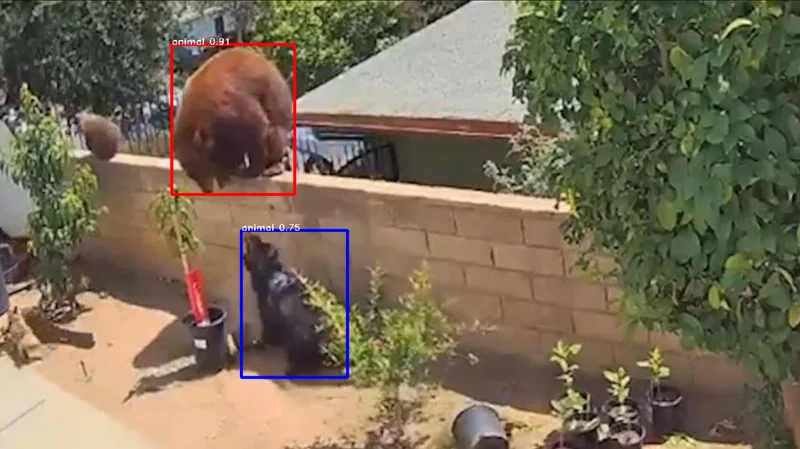 Smart home animal detection