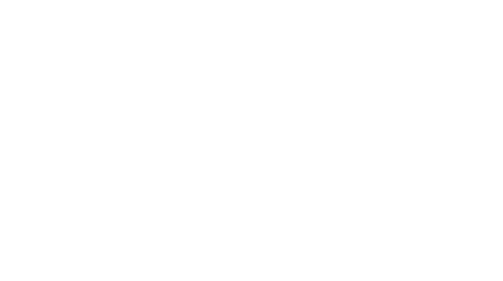 OpenVINO