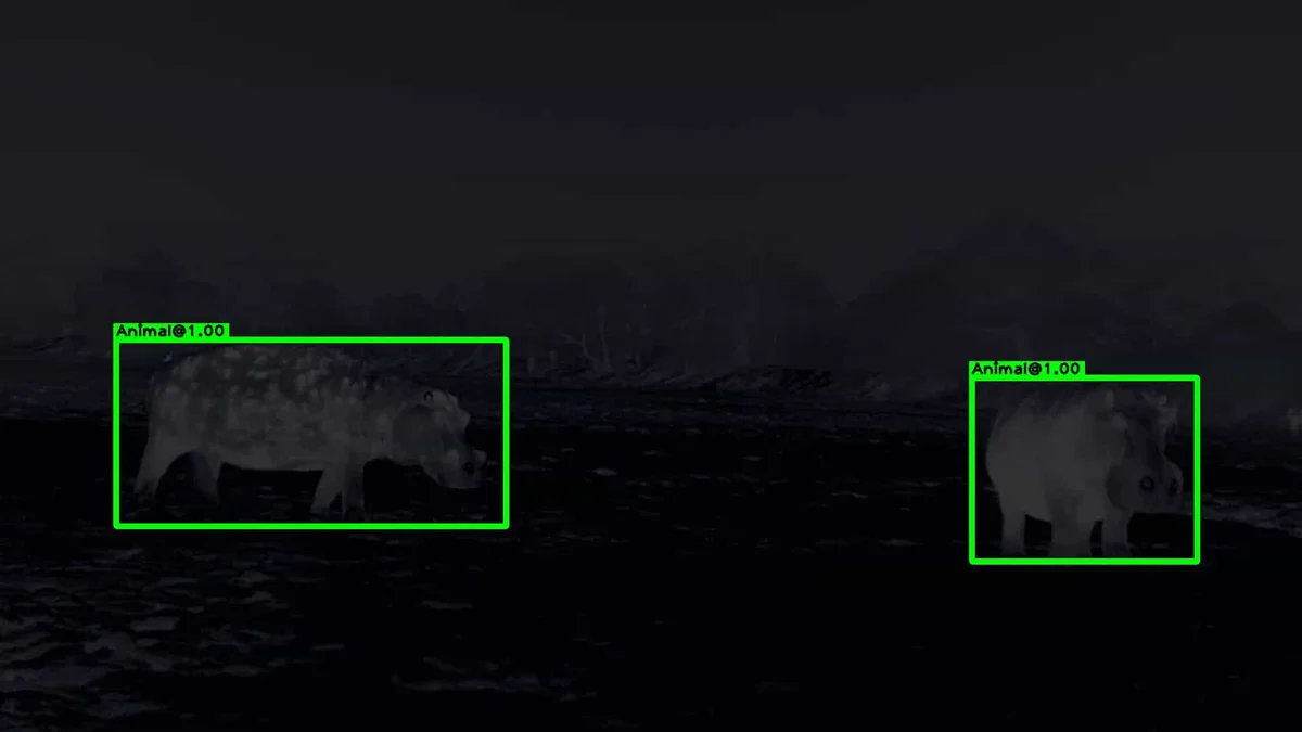 Thermal animal detection example 5